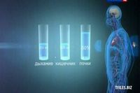 Наука 2.0. Человеческий фактор. Питьевая вода (2012)